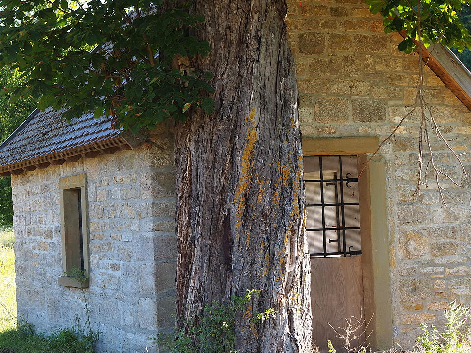 Das verlassene Dorf Bonnland darf bei einer Wanderung durch den Truppenübungsplatz Hammelburg nicht fehlen. Foto: Jürgen Schmitt