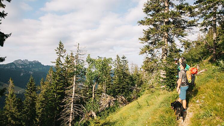 Klein Kanada, Chiemsee, Ausflug, Wandern, Radfahren