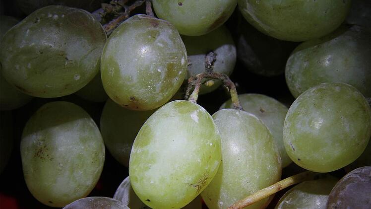 Der Wein spielt in der Hammelburger Marktbeschreibung vor über 1230 Jahren eine untergeordnete Rolle.