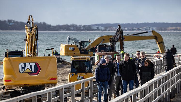 Wal an der Ostseek&uuml;ste gestrandet