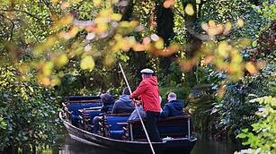 Herbst im Spreewald