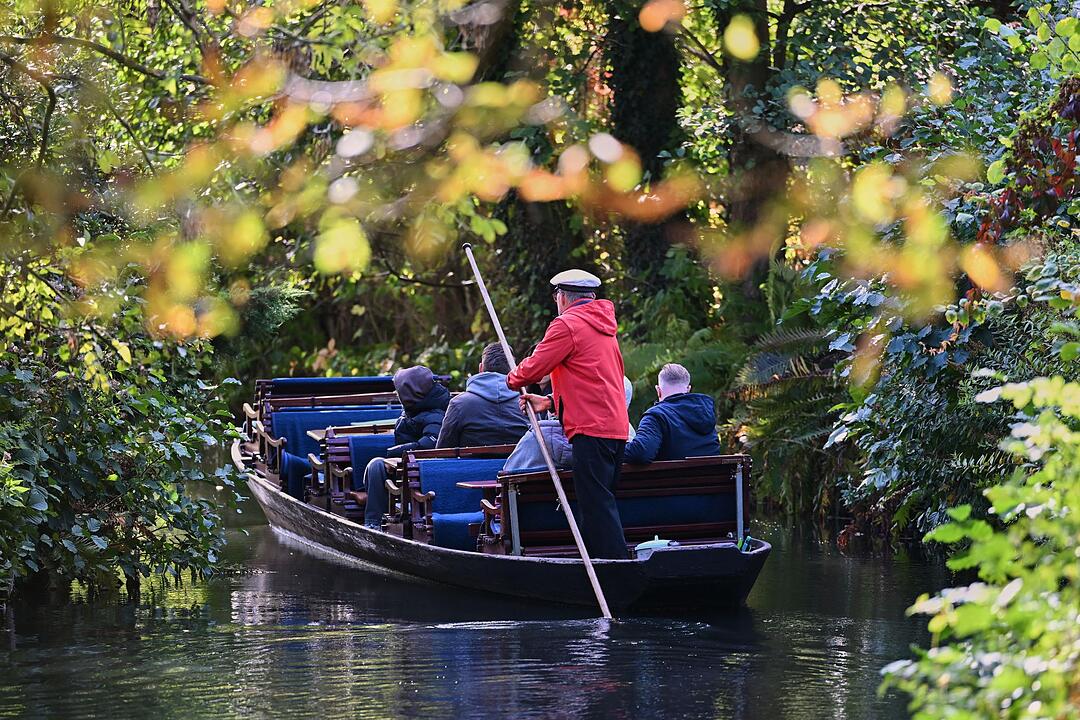 Herbst im Spreewald