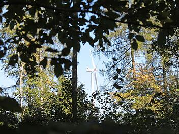 Solch einen möglichen Anblick lehnen Sulzthaler Bürger ab. Sie wollen keine Windkraftanlage im Waldgebiet. Foto: Archiv/ Markus Reeh