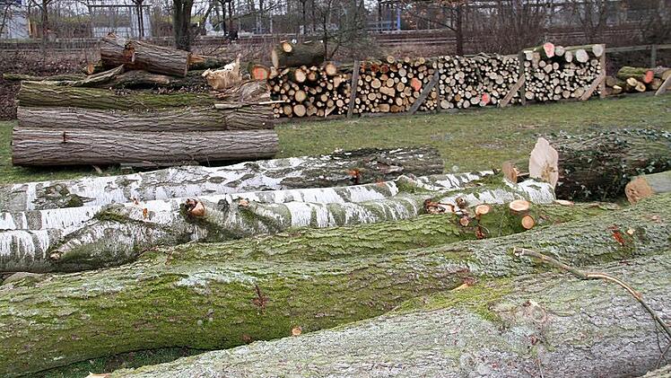 Auf dem Parkplatz der Katzogelhalle wird wieder Brennholz verkauft werden. Foto: Gerda Völk/Archiv