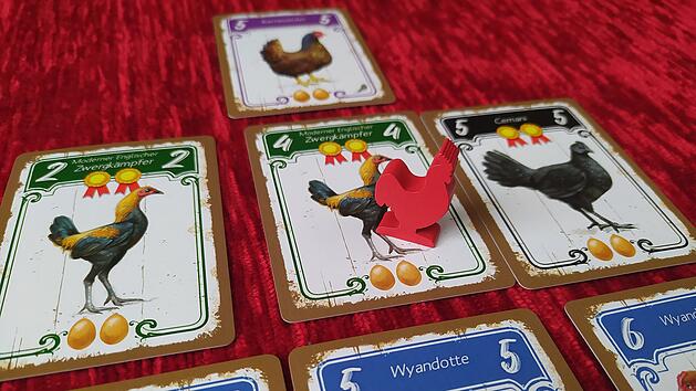 Hennen im Test - Kartenlegespiel mit taktischen Kniffen