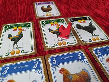 Hennen im Test - Kartenlegespiel mit taktischen Kniffen