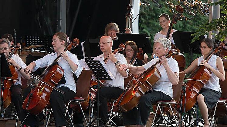 Impressionen vom Open-Air-Konzert mit dem Orchester der "Gesellschaft der Musikfreunde Neustadt".Foto: Albert Höchstädter
