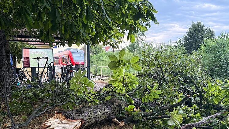 Kalchreuth: Kollision von Zug mit Baum