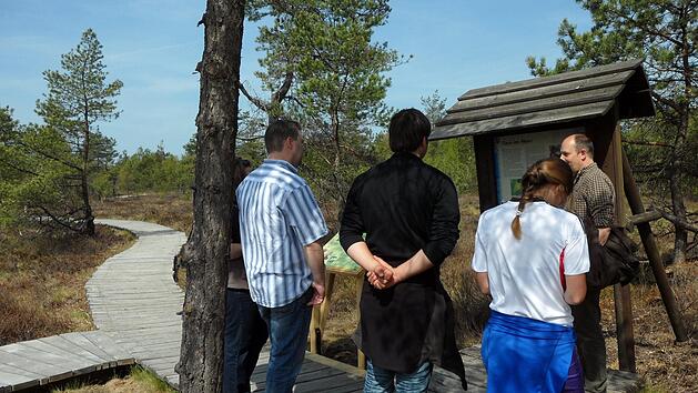 Eine gef&uuml;hrte Tour durch das Moor: Ab dem 14. Juni ist das wieder m&ouml;glich.  Foto: Ulrike Sofsky