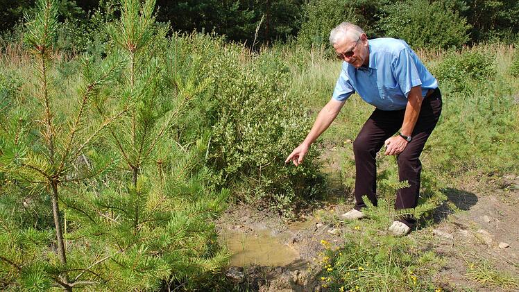 Helmut Krüg zeigt einen Tümpel, in dem die Gelbbauchunke lebt. Foto: Rainer Lutz