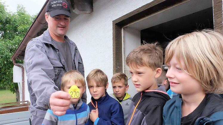 Stefan Selbert zeigt die Ohrenmarken, mit der die Ferkel gekennzeichnet werden. Foto: Gerd Schaar