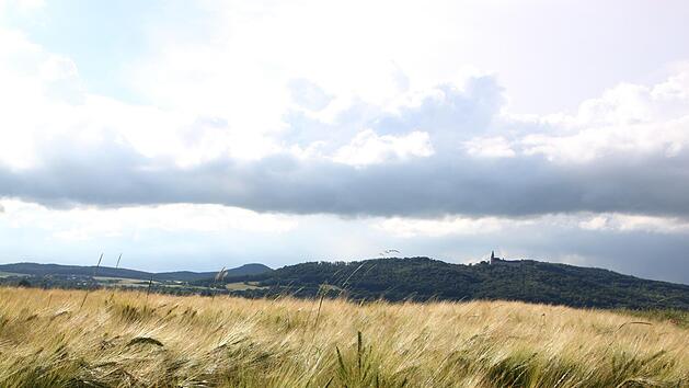Während viele Felder in der Region von Unwetterschäden verschont geblieben sind, hat es an anderen Stellen viele Schäden genommen. Matthias Einwag