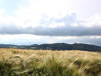 Während viele Felder in der Region von Unwetterschäden verschont geblieben sind, hat es an anderen Stellen viele Schäden genommen. Matthias Einwag