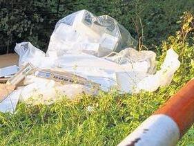 Müll in den Wald gekippt