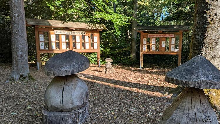 Lehrreiche Stationen mit Schautafeln und dazu passenden geschnitzten Skulpturen aus Holz.