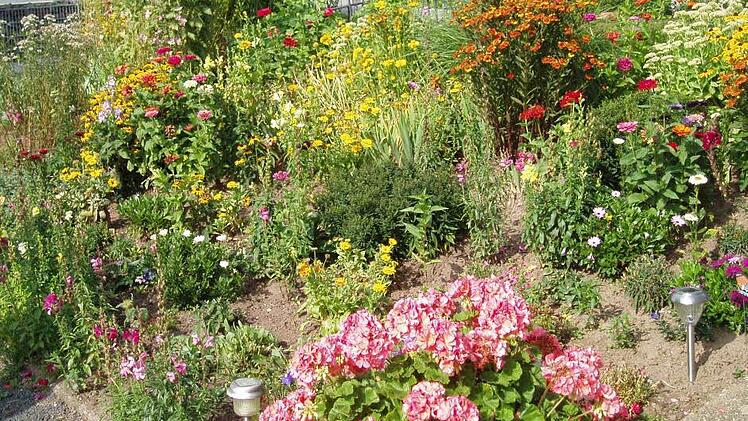 Hannelore Brust, Volkers