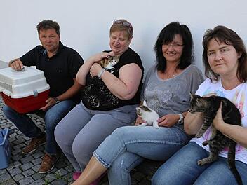 Udo Zeitler, Ilona Schlereth, Ulrike Zeitler und Claudia Adolph (von links) mit einem Teil der gefundenen Katzen Foto: Barbara Herbst