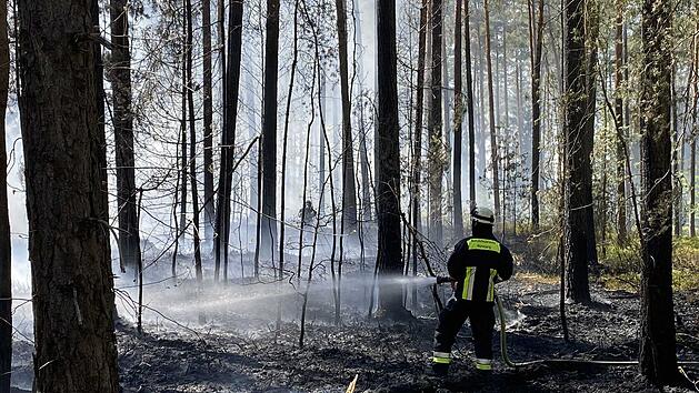 Feuerwehr kämpft gegen Waldbrand