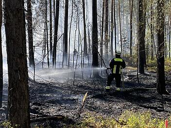 Feuerwehr kämpft gegen Waldbrand