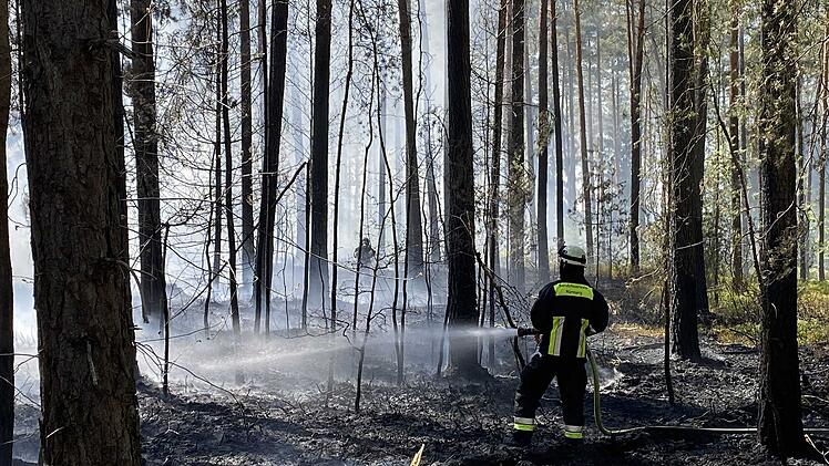 Feuerwehr kämpft gegen Waldbrand