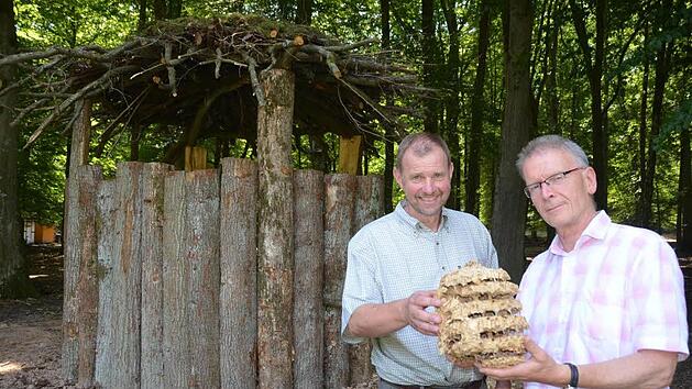 Stadtf&ouml;rster Axel Maunz (links), hier auf einem Foto mit  Franz Lang vom Bund Naturschutz beim Begutachten eines Hornissennests. Foto: Peter Rauch