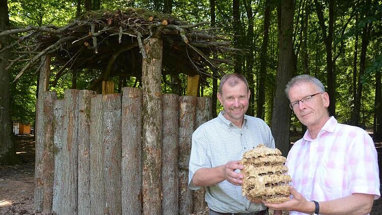 Stadtförster Axel Maunz (links), hier auf einem Foto mit  Franz Lang vom Bund Naturschutz beim Begutachten eines Hornissennests. Foto: Peter Rauch