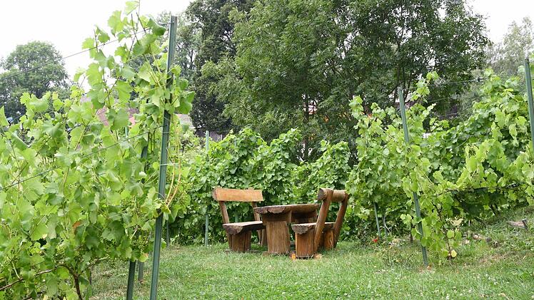 Bei Oberbirkenhof. Willi Rucker sagt: "Der nördlichste Weinberg des Landkreises Kulmbach." Foto: Katrin Geyer