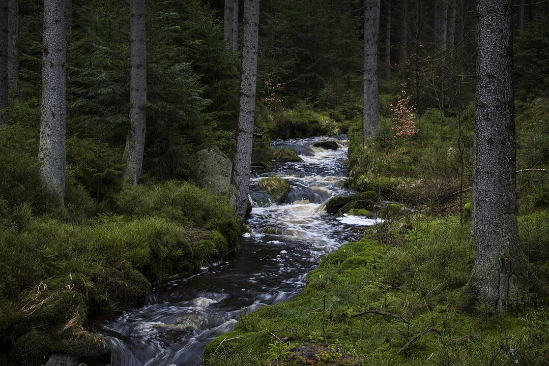 Urlaub in Franken: Fichtelgebirge im Sommer