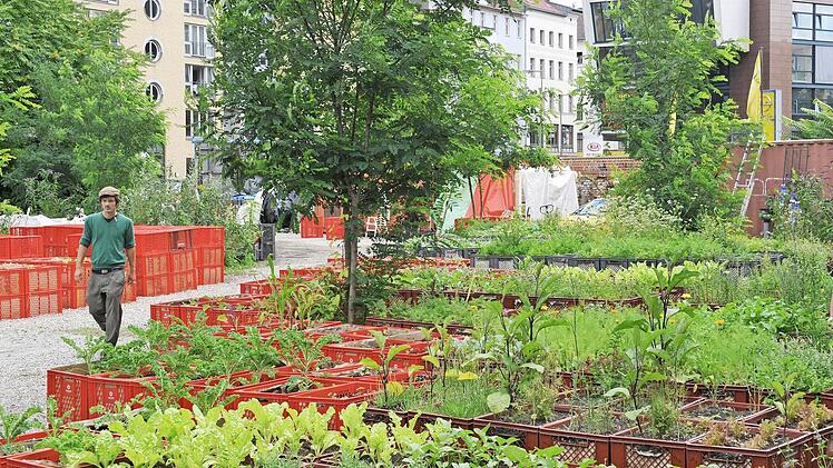 Wenn mitten in der Stadt Salatpflanzen in Kisten gedeihen, waren "Urban Farmer" am Werk.  Foto: Rainer Jensen, dpa
