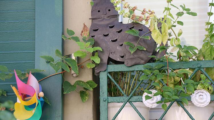 Stilleben mit Katze und Windrad. Foto: Heike Beudert