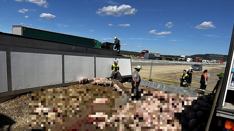 Schweinetransporter auf A3 im Kreis Kitzingen umgekippt