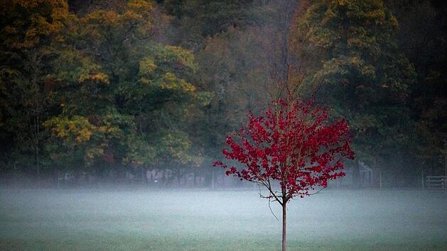 Herbstliches Wetter am Abend