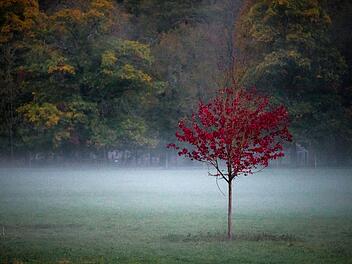 Herbstliches Wetter am Abend