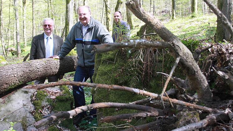 Unterwegs in der Kernzone "Reithmühle" in der Gemeinde Oberthulba Foto: Carmen Schmitt