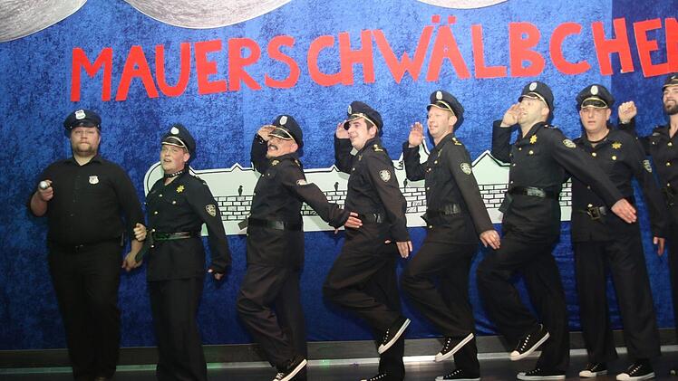 Die Mauerschwälbchen aus Seßlach Foto: Michael Stelzner