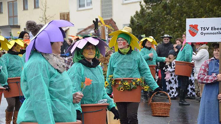 Straßenfasching in Ebenhausen Foto: Peter Rauch
