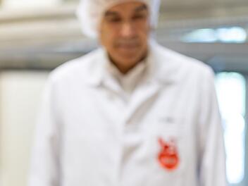 Lebkuchen-Produktion