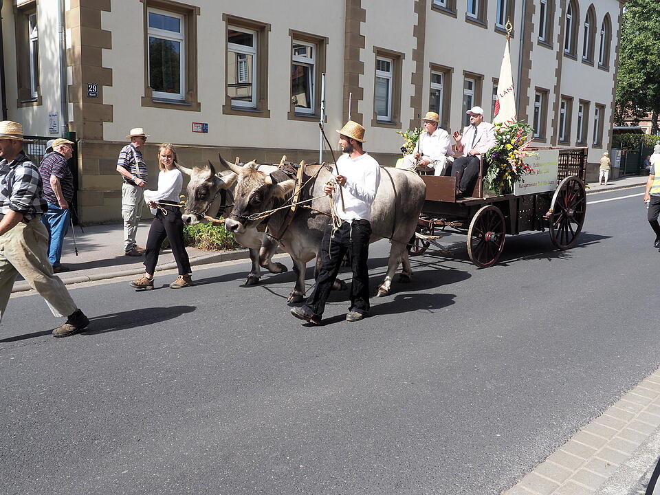 Der sonnt&auml;gliche H&ouml;hepunkt des Rakoczy-Fest.