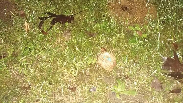 Die Hundeköder lagen auf dem Weg und im Gebüsch. Foto: privat