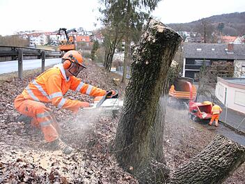 Vorarbeiter Sebastian Vogt und seine Kollegen von der Straßenmeisterei Hammelburg haben in den vergangenen Tagen bereits die Böschung für den künftigen Radweg gerodet. Foto: Ralf Ruppert