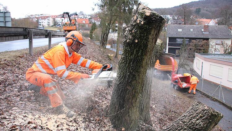 Vorarbeiter Sebastian Vogt und seine Kollegen von der Straßenmeisterei Hammelburg haben in den vergangenen Tagen bereits die Böschung für den künftigen Radweg gerodet. Foto: Ralf Ruppert