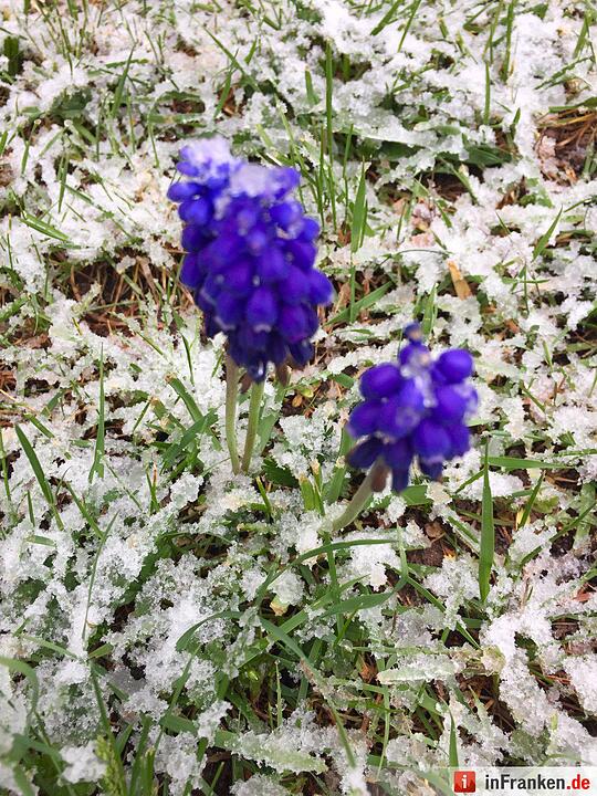 Franken: Ostermontag versinkt im Schnee