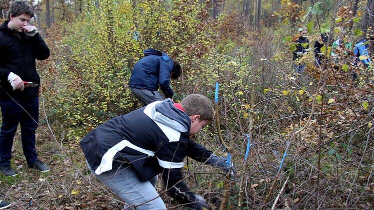Realschüler bei der Waldarbeit Richard Sänger