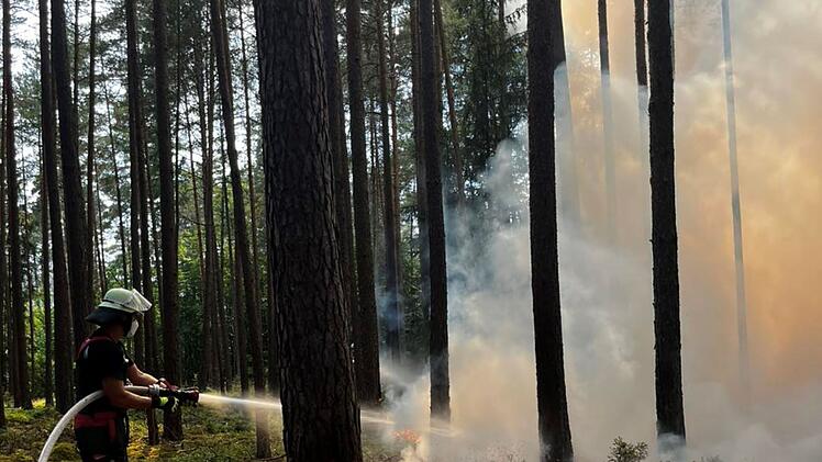 Waldbrand bei Baiersdorf: Feuerwehr mit Großaufgebot im Einsatz