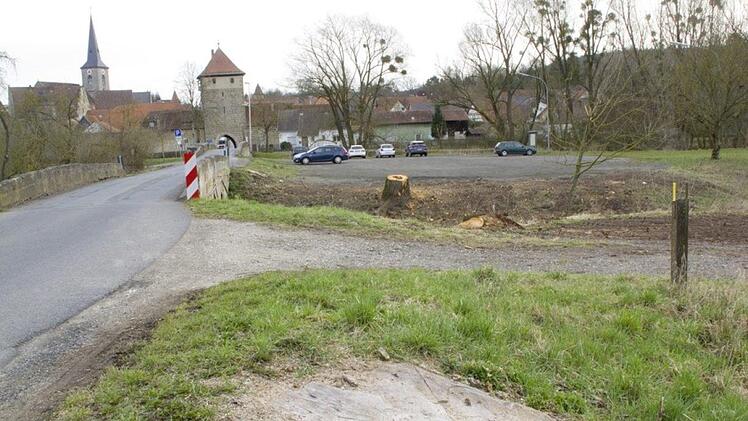 Baum vor dem Geyersberger Tor nach dem Schnitt Foto: Bettina Knauth