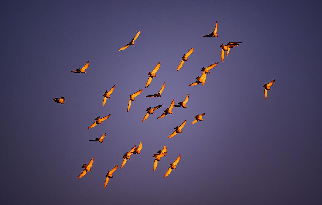 Winterwetter in Brandenburg