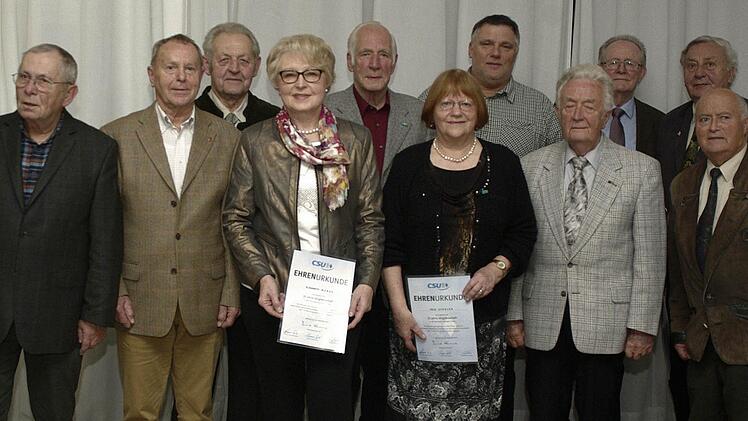 Treue CSU-Mitglieder erhielten eine Urkunde (von links): Horst Winkler, Ludwig Sand, Johannes Liegl, Elisabeth Wende, Jochen Tolle, Cilli Ziegler, Ingo-Uwe Klein, Elmar Hartung, Werner Strauch, Hans-Joachim Raab und Günter Petrick.