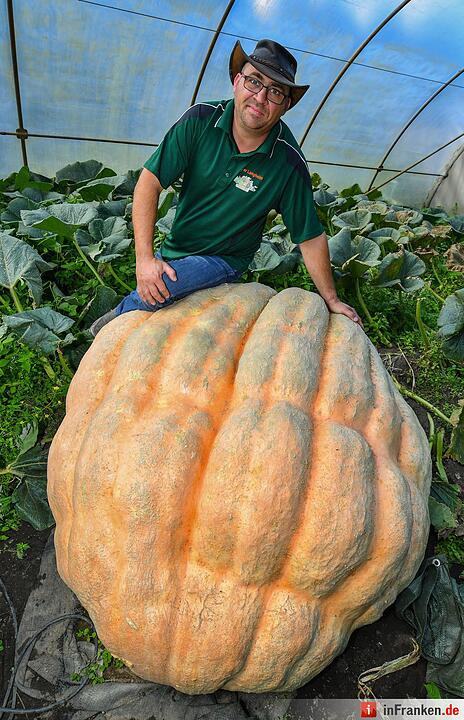 Riesenkürbis
