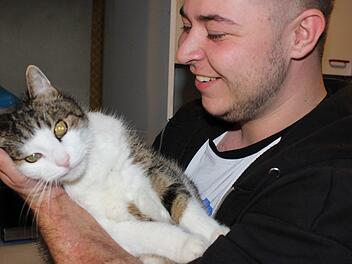 Kater Ricky lebt bereits seit 15 Jahren bei Ben in Trieb. Als Ben begann, Testosteron zu nehmen, hat Ricky ihn zun&auml;chst nur noch angegriffen. Fotos: Cindy D&ouml;tschel/privat