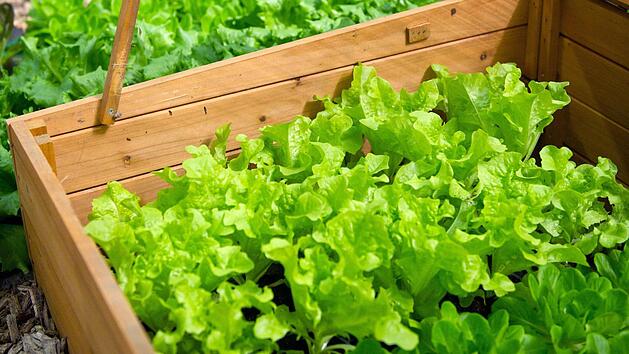 Foto: Andrea Warnecke